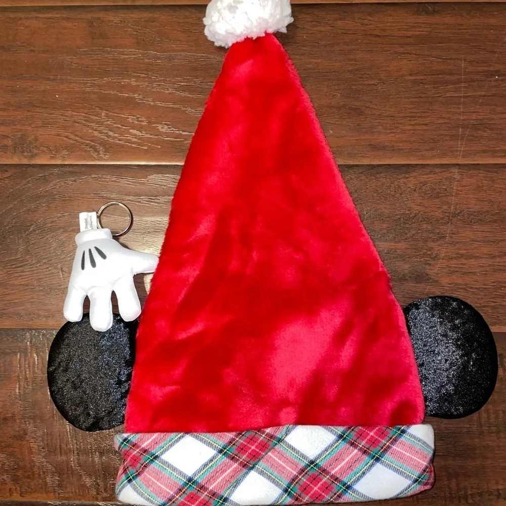 Mickey Christmas Hat